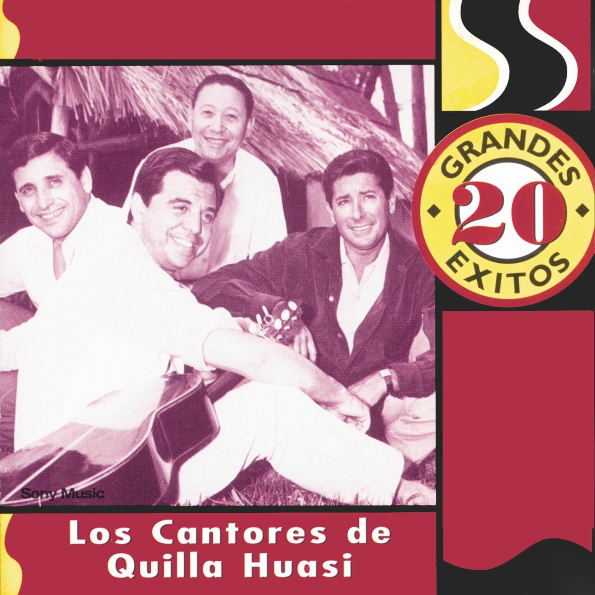 Album cover of 20 Grandes Exitos