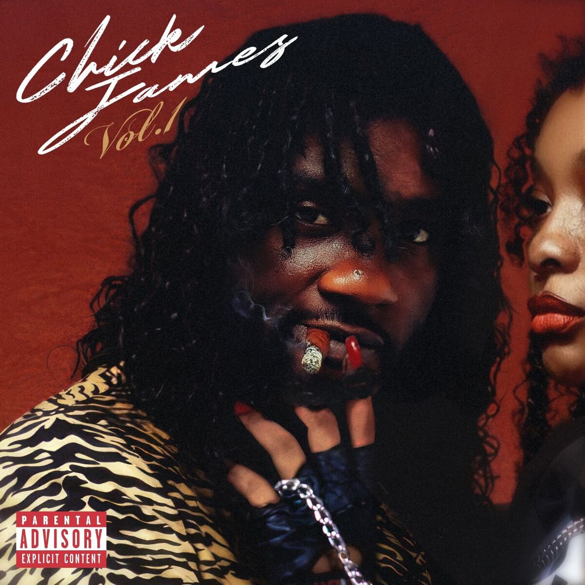 Album cover of Chick James, Vol. 1