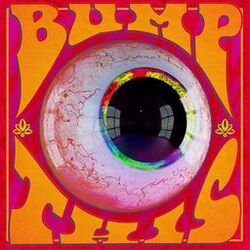 Cover of Bump This