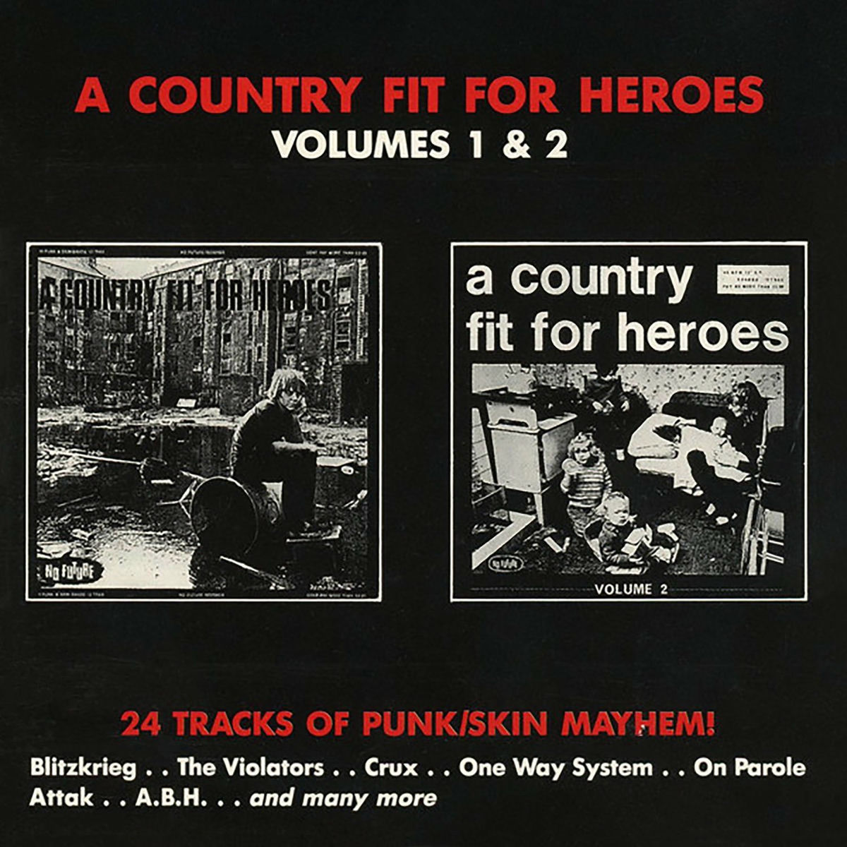Album cover of A Country Fit for Heroes, Vol. 1 & 2