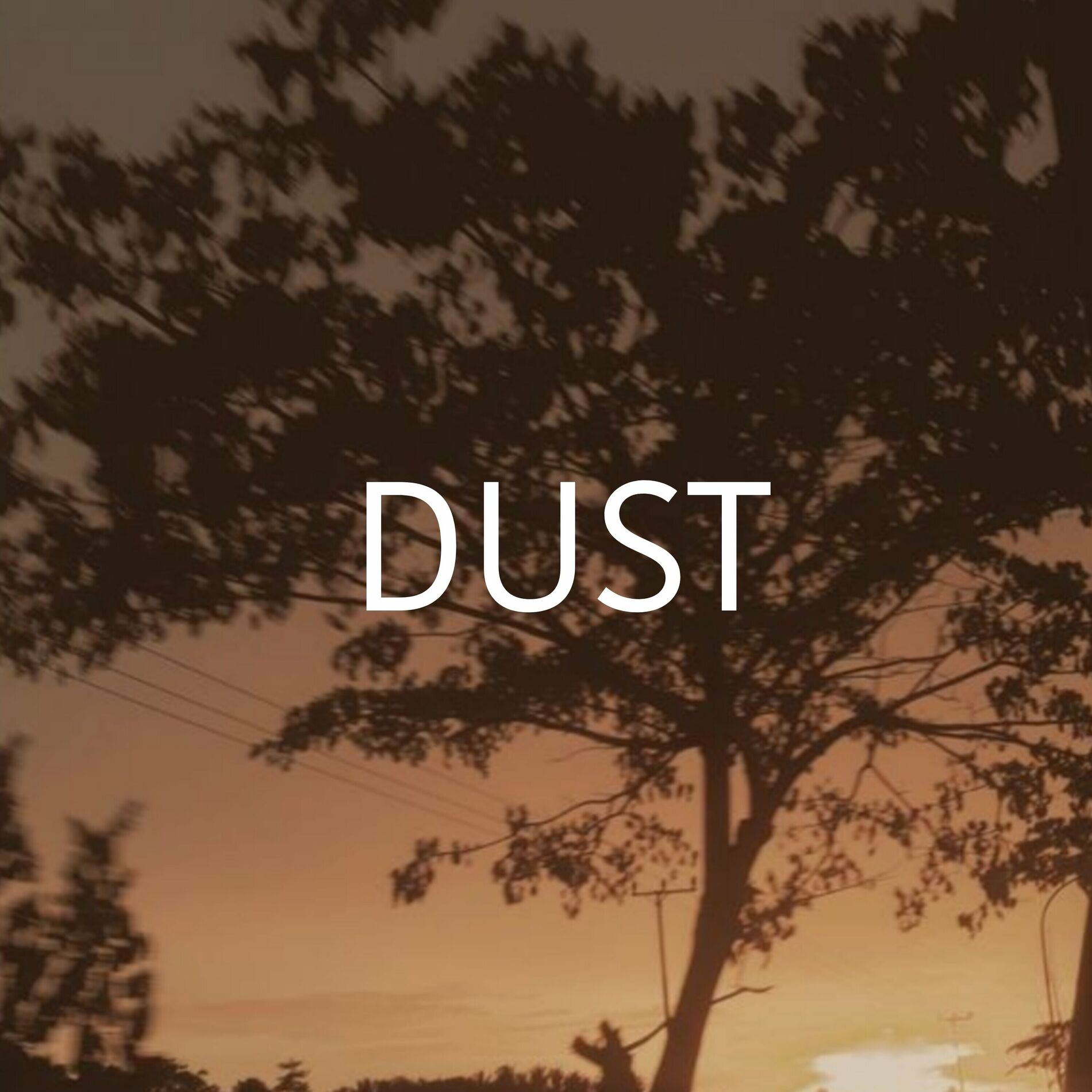 Album cover of Dust