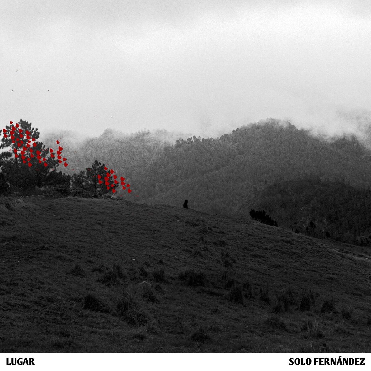 Album cover of Lugar