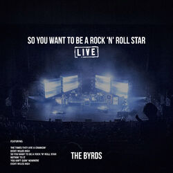 So You Want To Be A Rock 'n' Roll Star (Live)