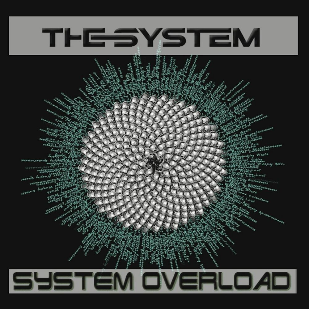 Picture of System Overload
