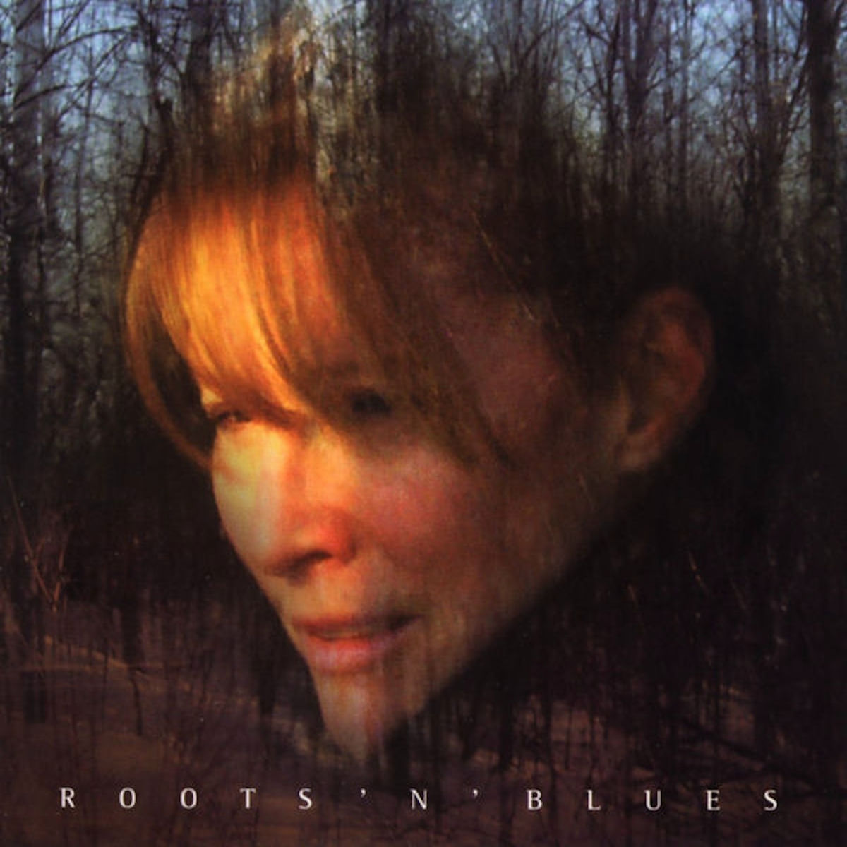 Album cover of Roots N' Blues