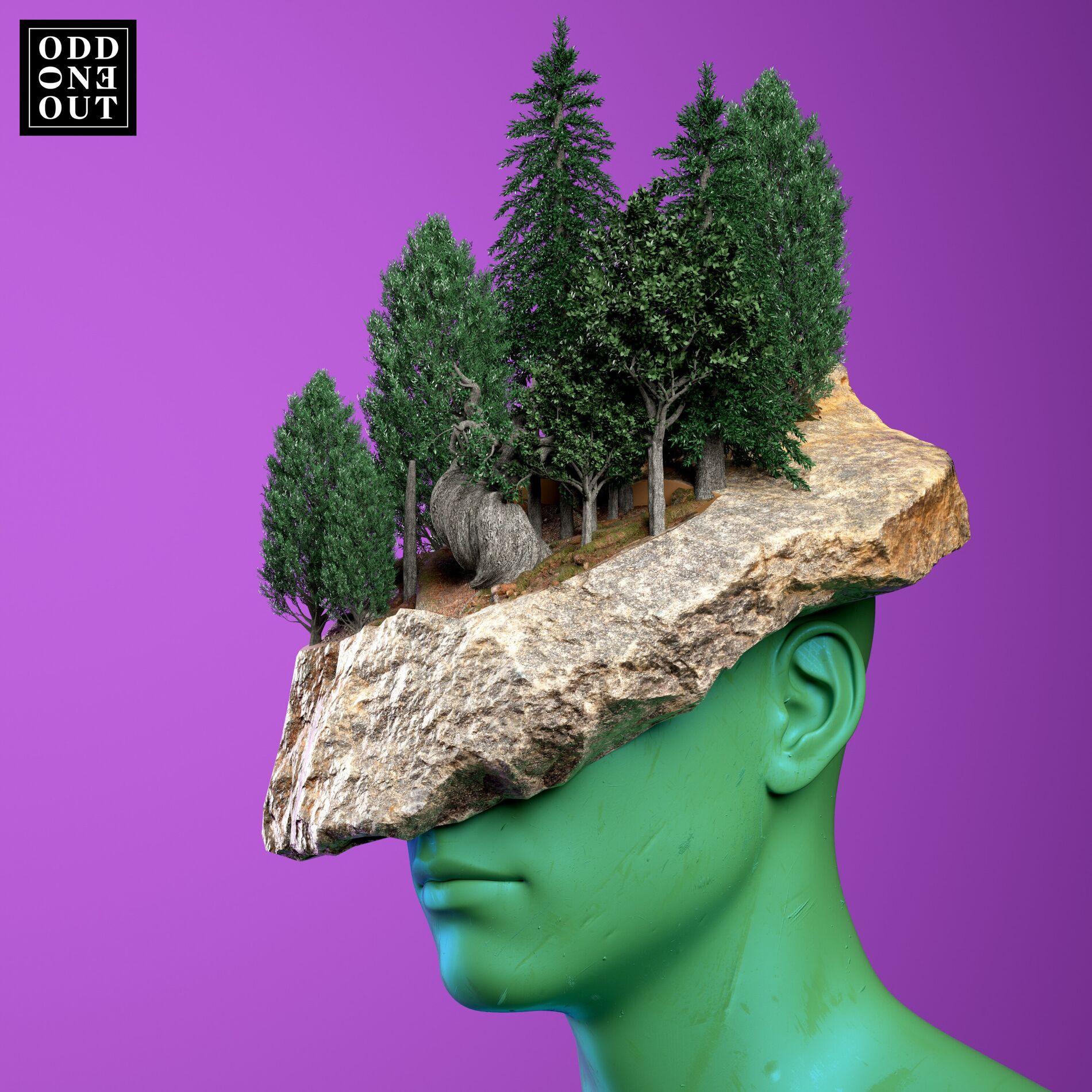 Album cover of Incrust