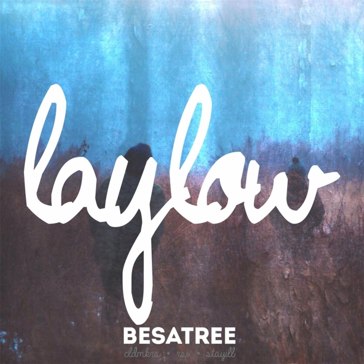 Album cover of Lay Low