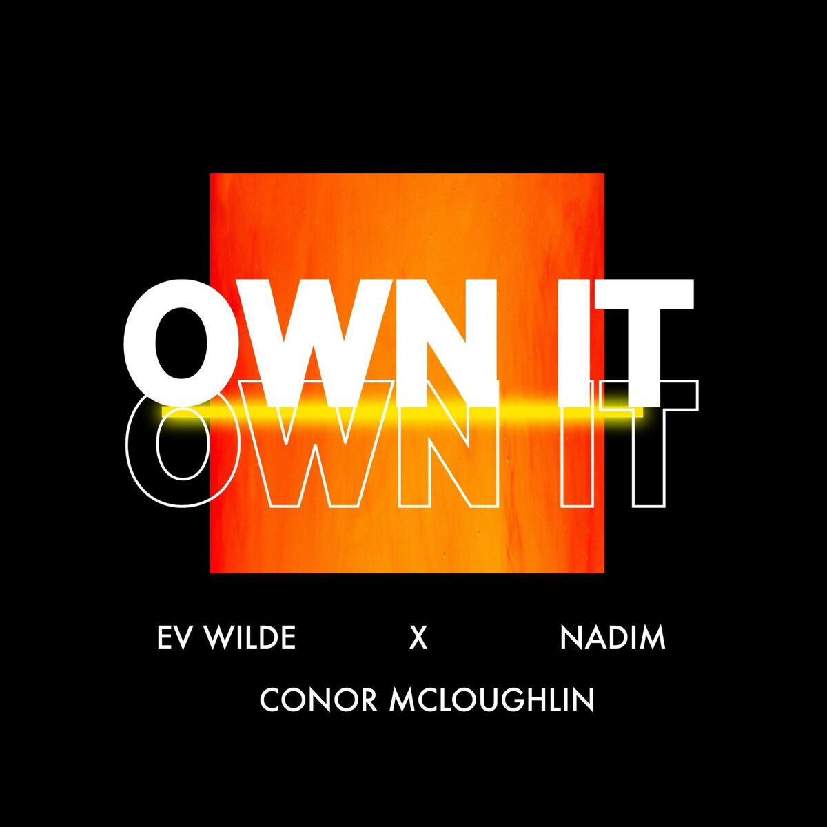 Album cover of Own It