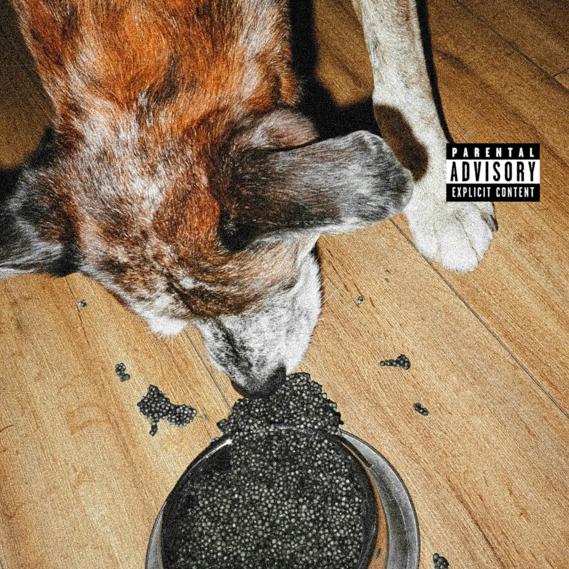 Album cover of Du caviar pour mon chien