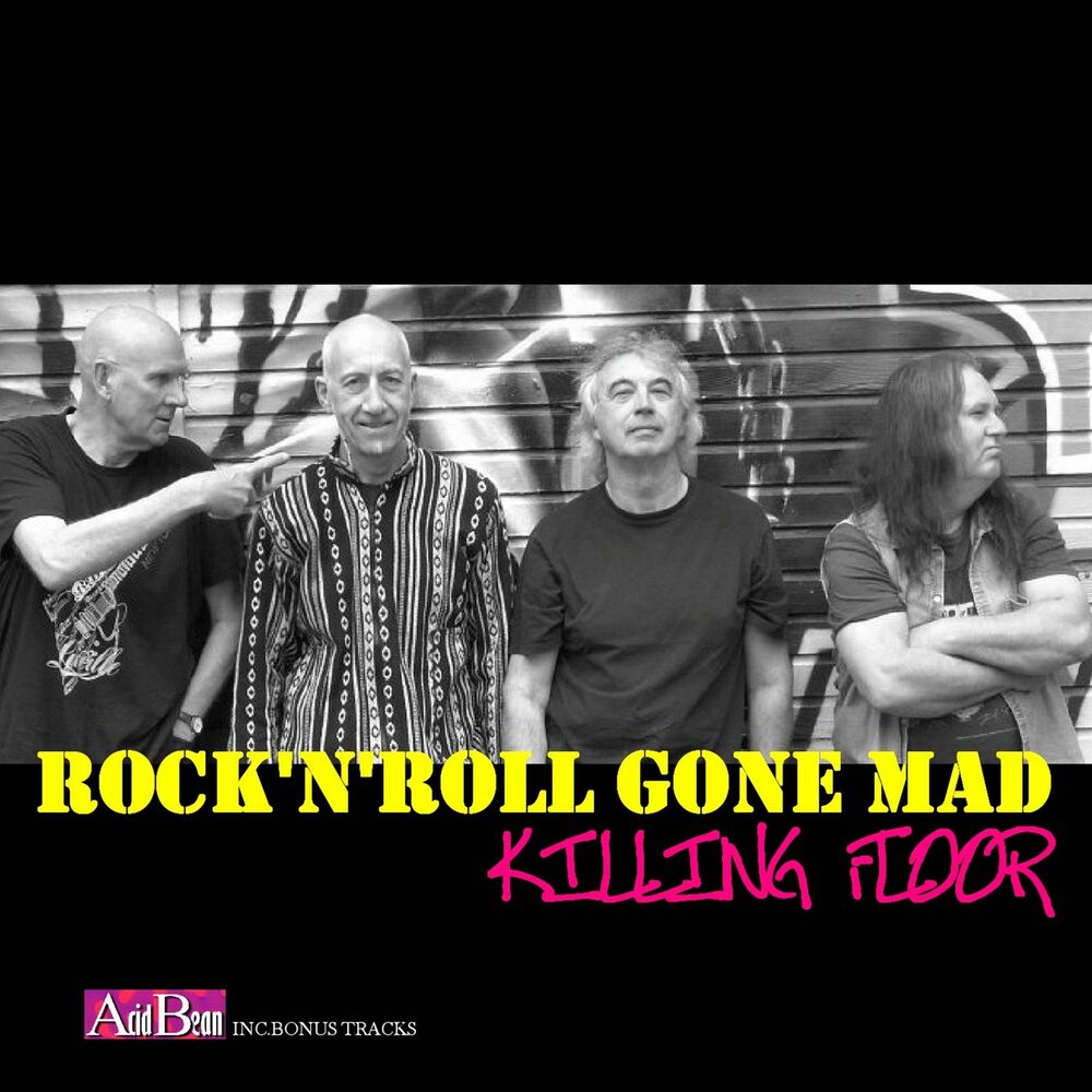 Picture of Rock'n'Roll Gone Mad