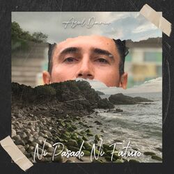Cover of Ni Pasado Ni Futuro