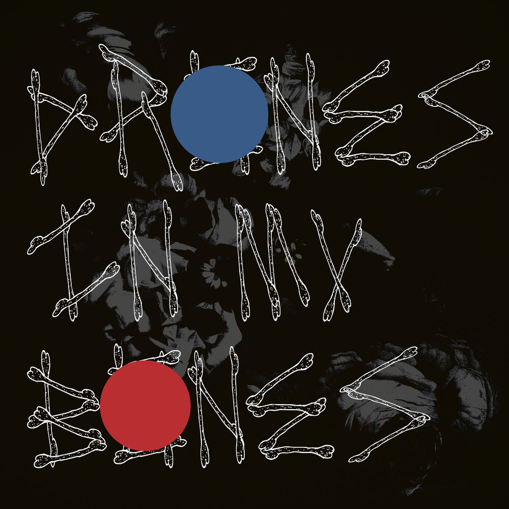 Picture of Drones In My Bones