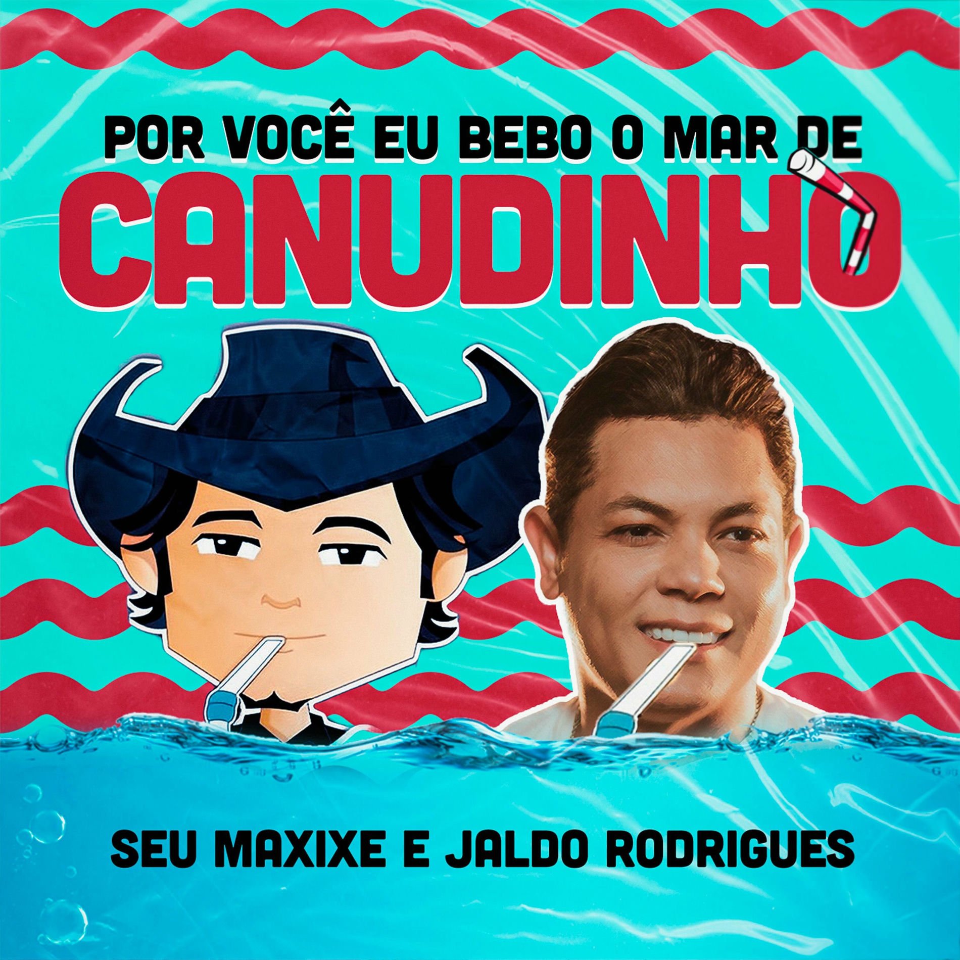 Album cover of Por você eu bebo o mar de canudinho (feat. Jaldo Rodrigues)