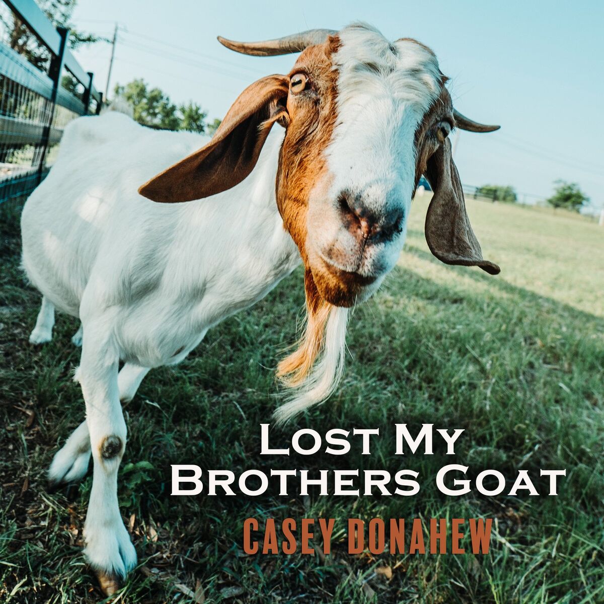 Album cover of Lost My Brothers Goat