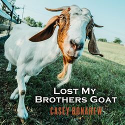 Cover of Lost My Brothers Goat