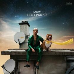 Cover of Petit Prince