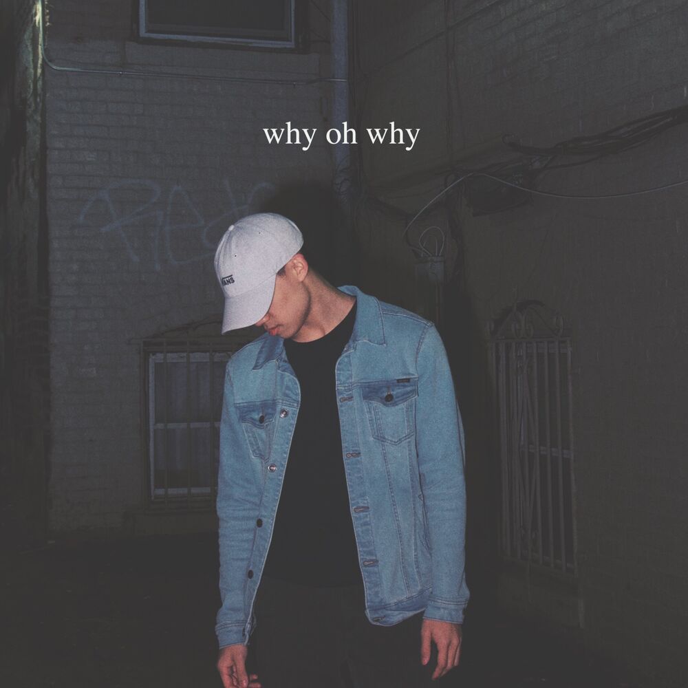 Picture of Why Oh Why