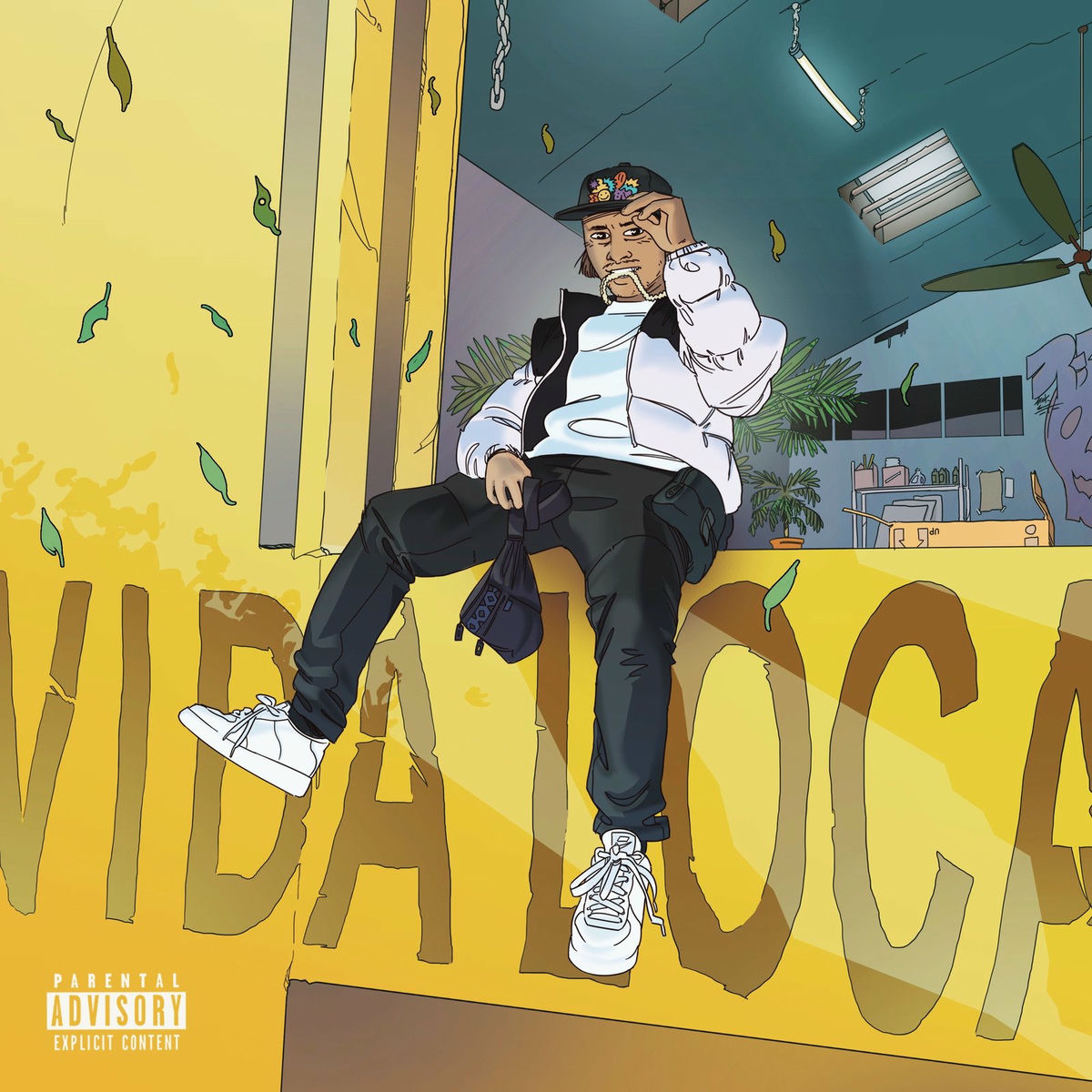 Album cover of Vida Loca