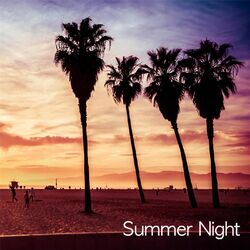 Cover of Summer Night