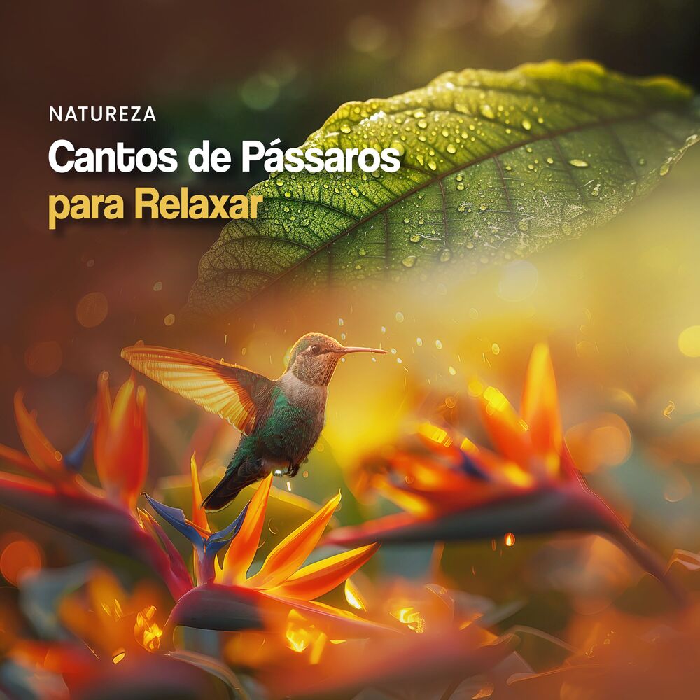 Picture of Cantos de Pássaros para Relaxar