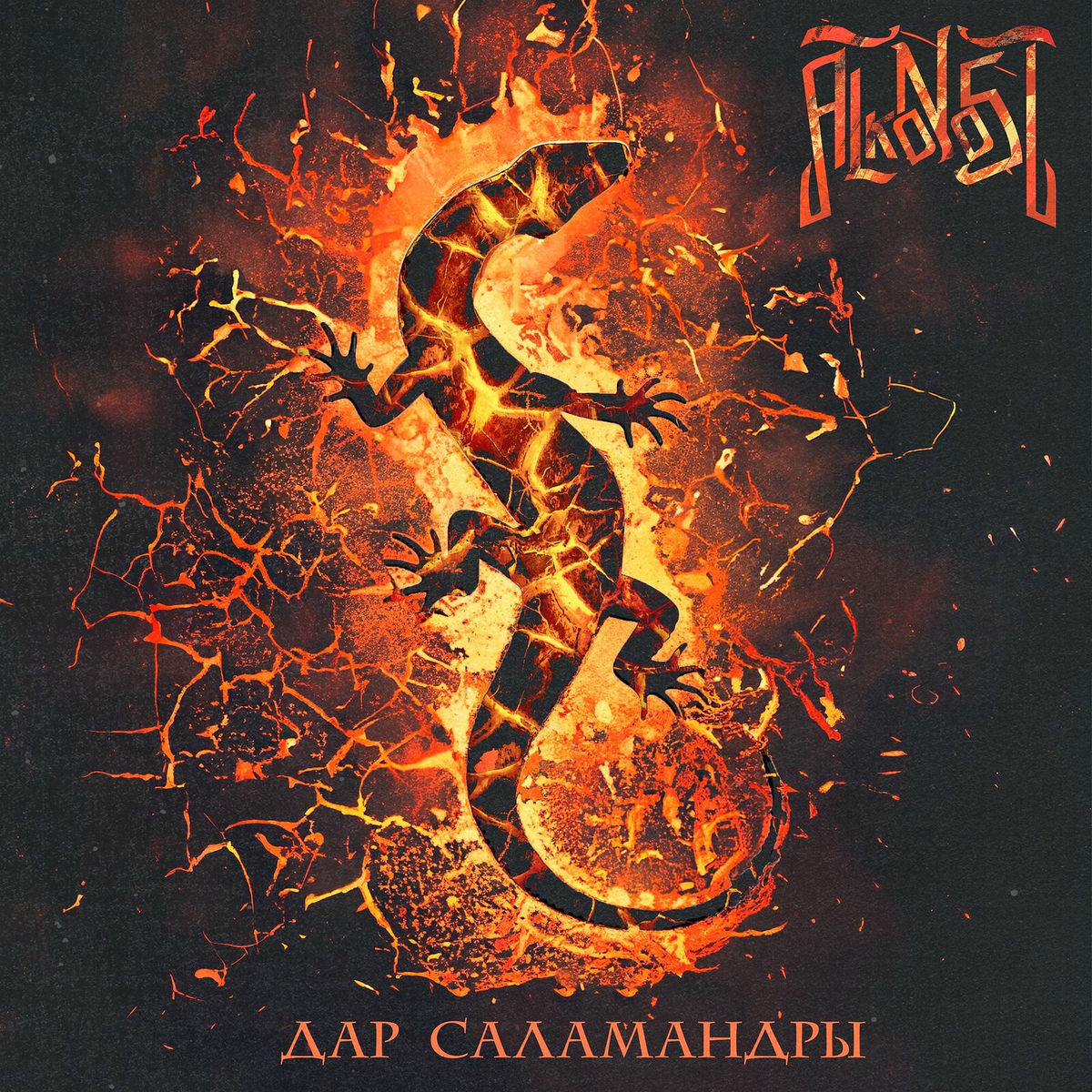 Album cover of Дар саламандры