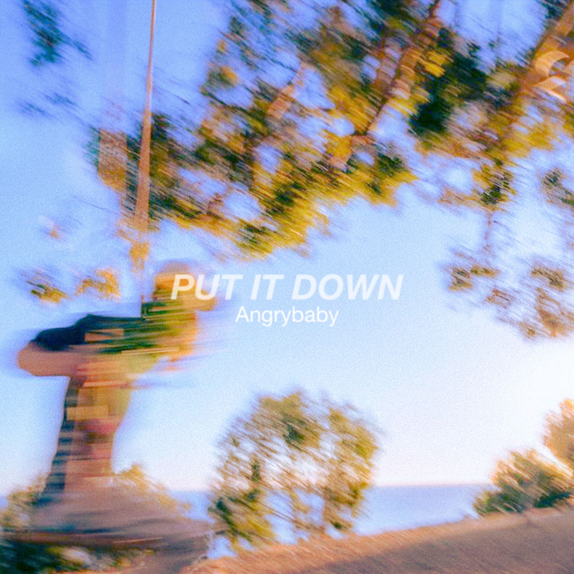Album cover of PUT IT DOWN