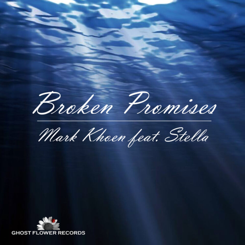 Picture of Broken Promises