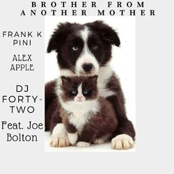 Cover of Brother From Another Mother