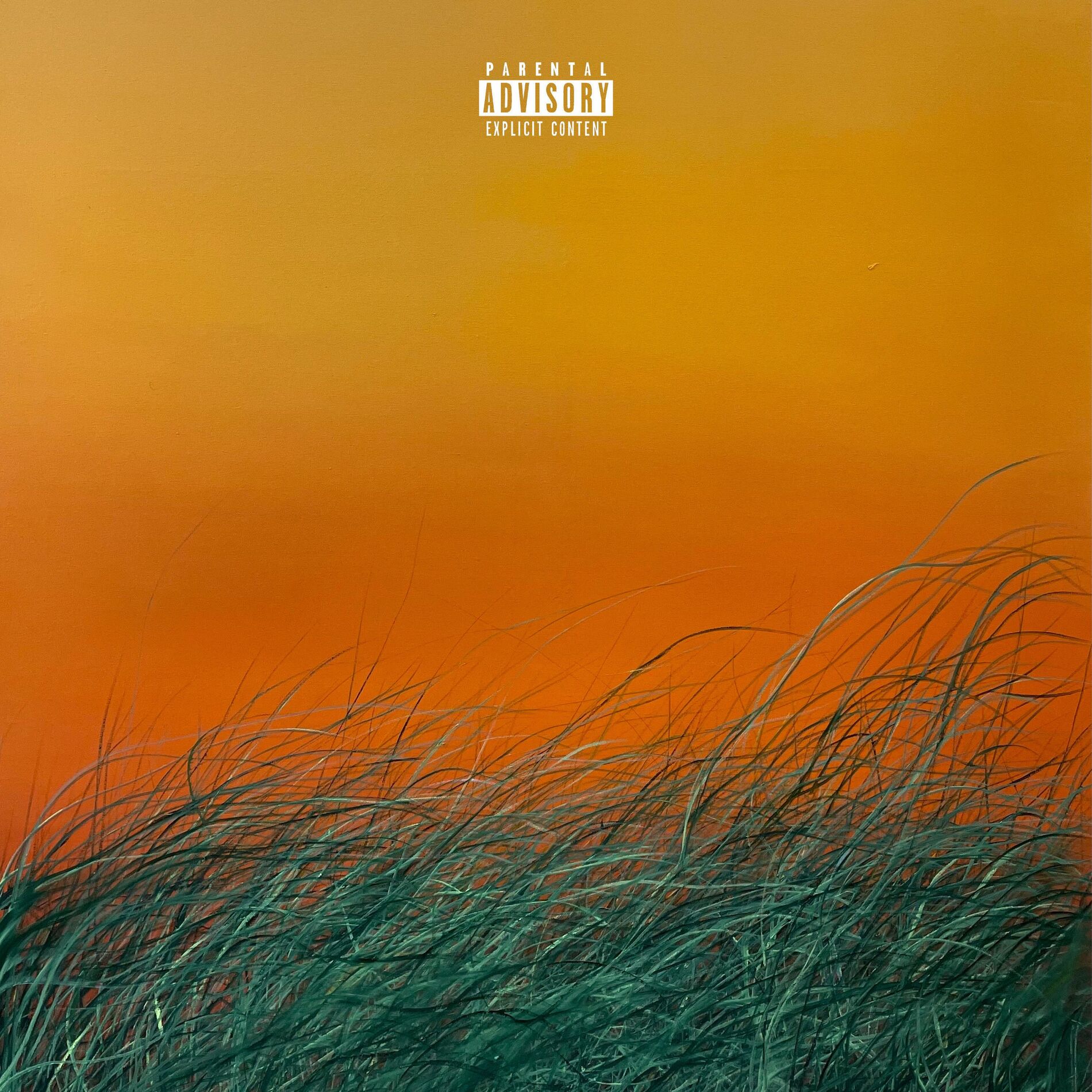 Album cover of FENIX