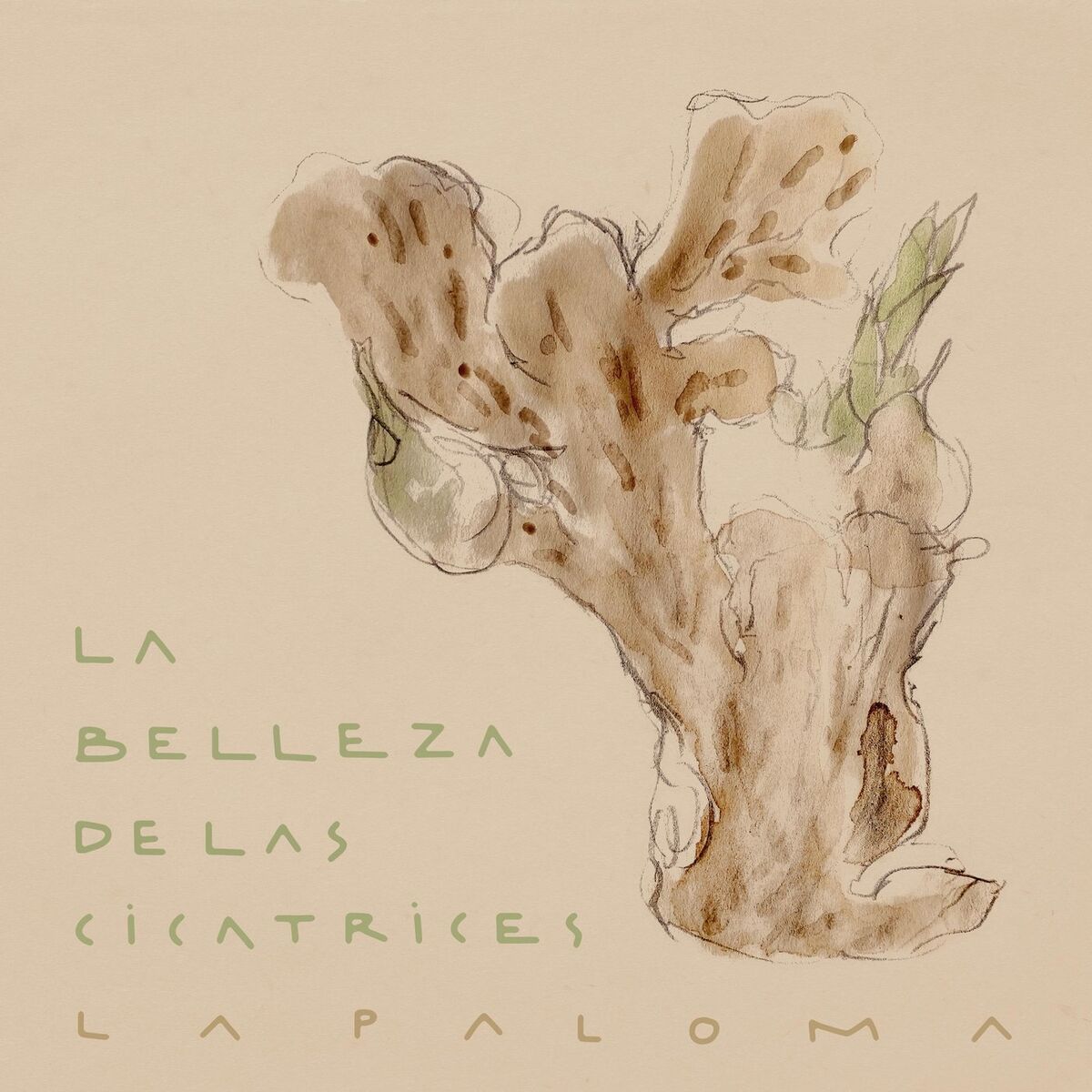 Album cover of La Belleza de las Cicatrices