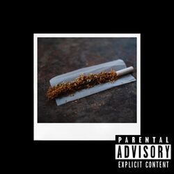 Cover of Roll