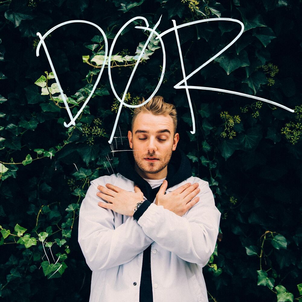 Picture of Dør