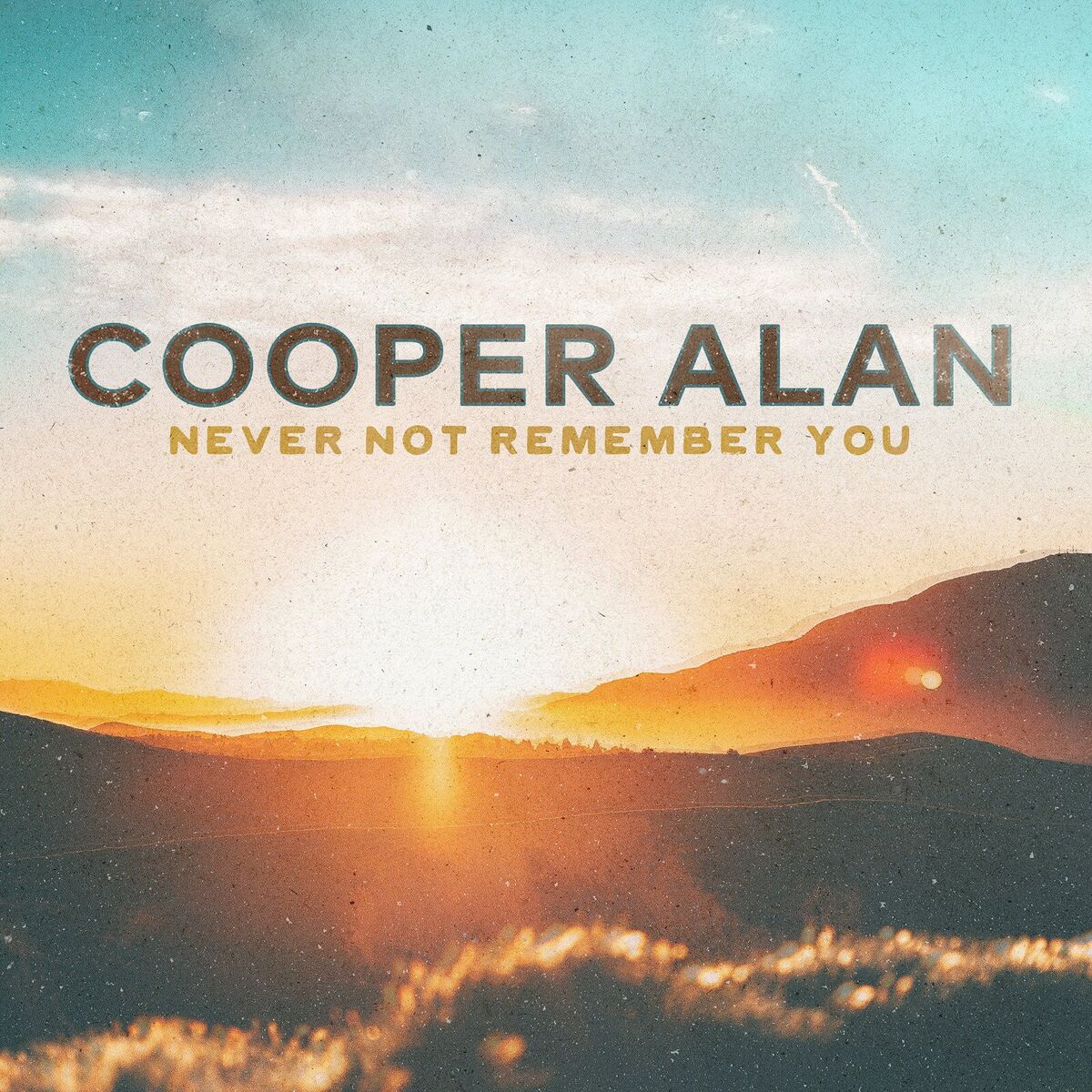 Album cover of Never Not Remember You