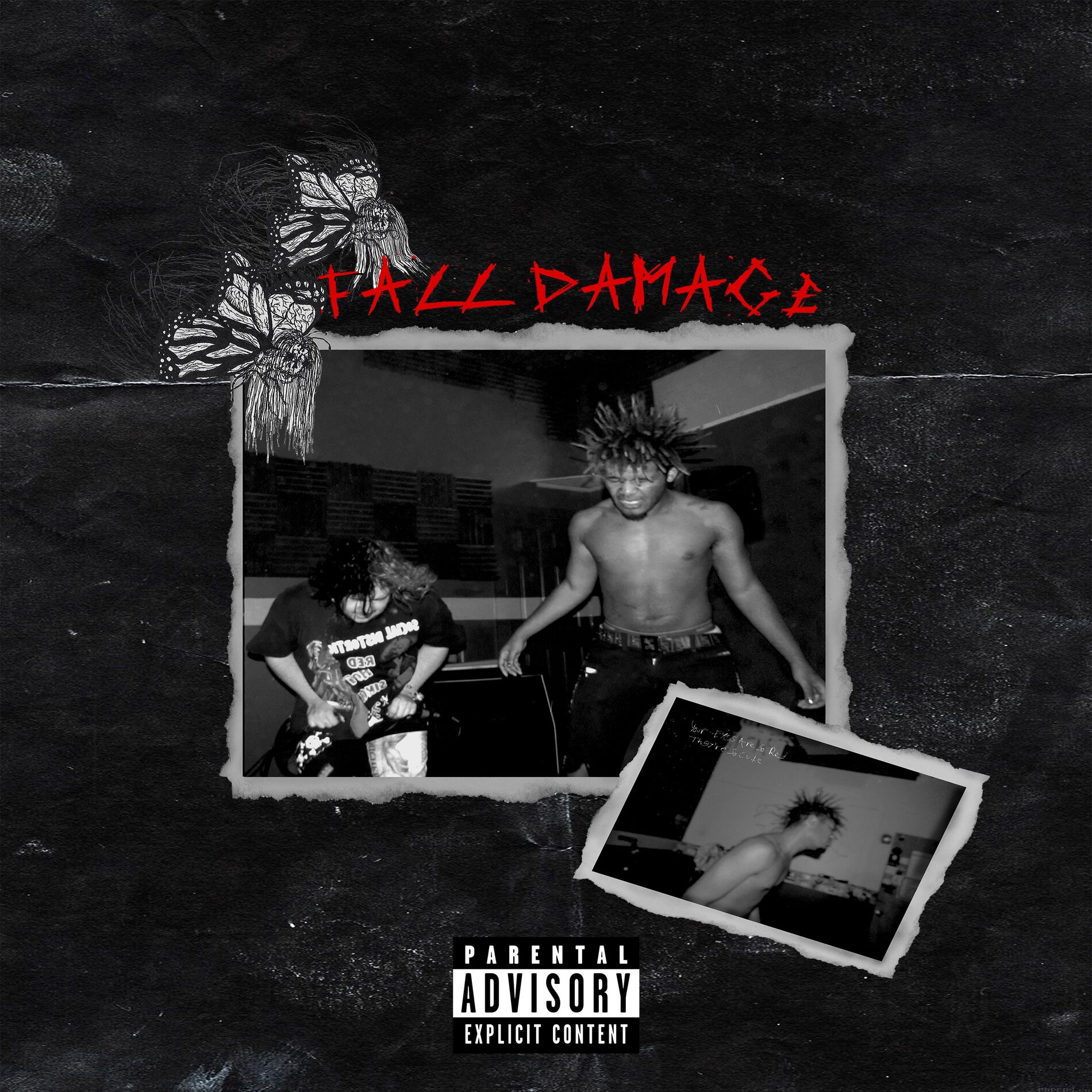 Album cover of Fall Damage