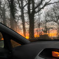 Cycles