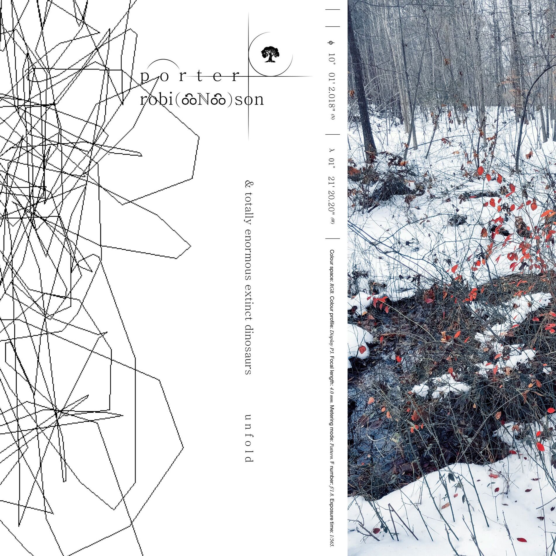 Album cover of Unfold