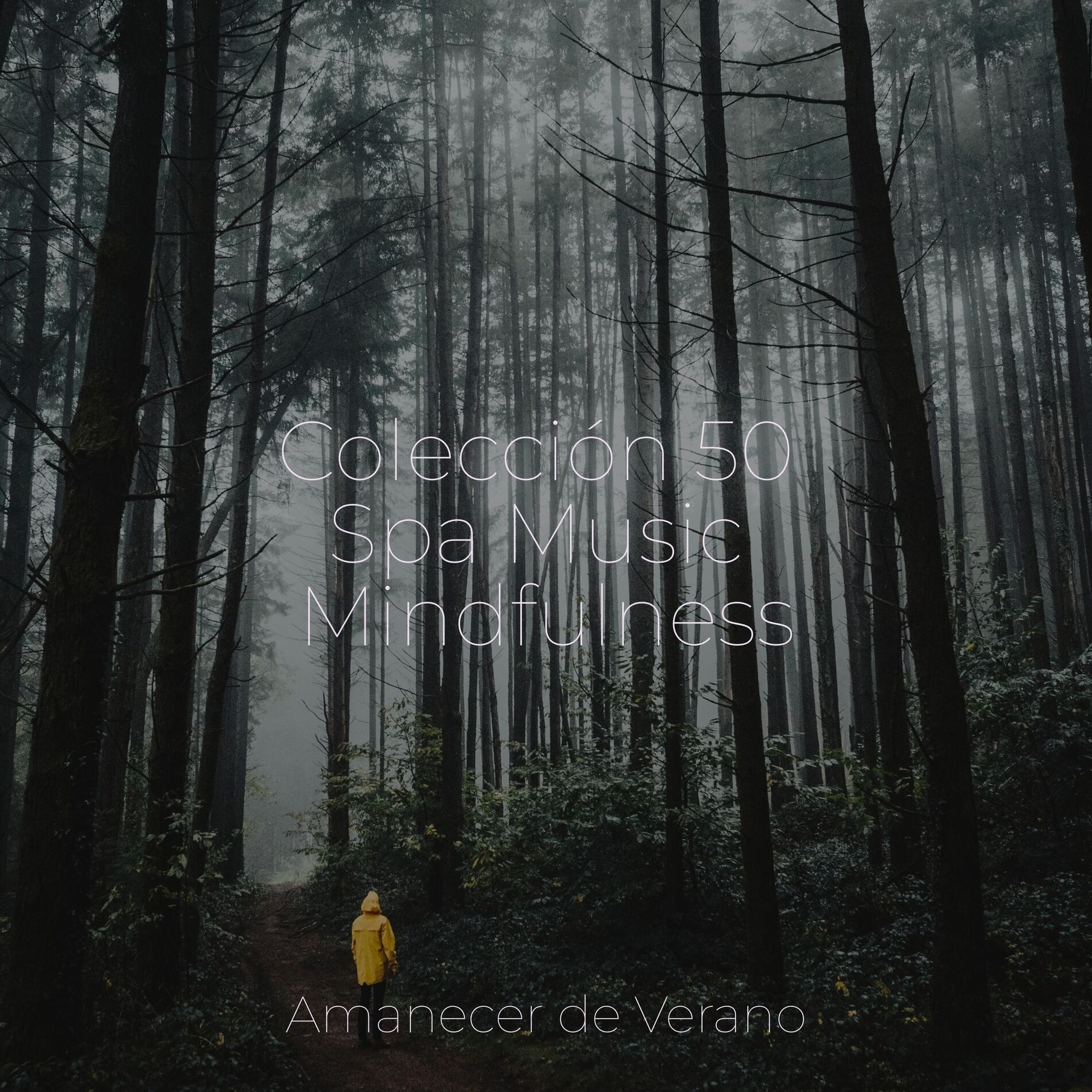 Album cover of Colección 50 Spa Music Mindfulness