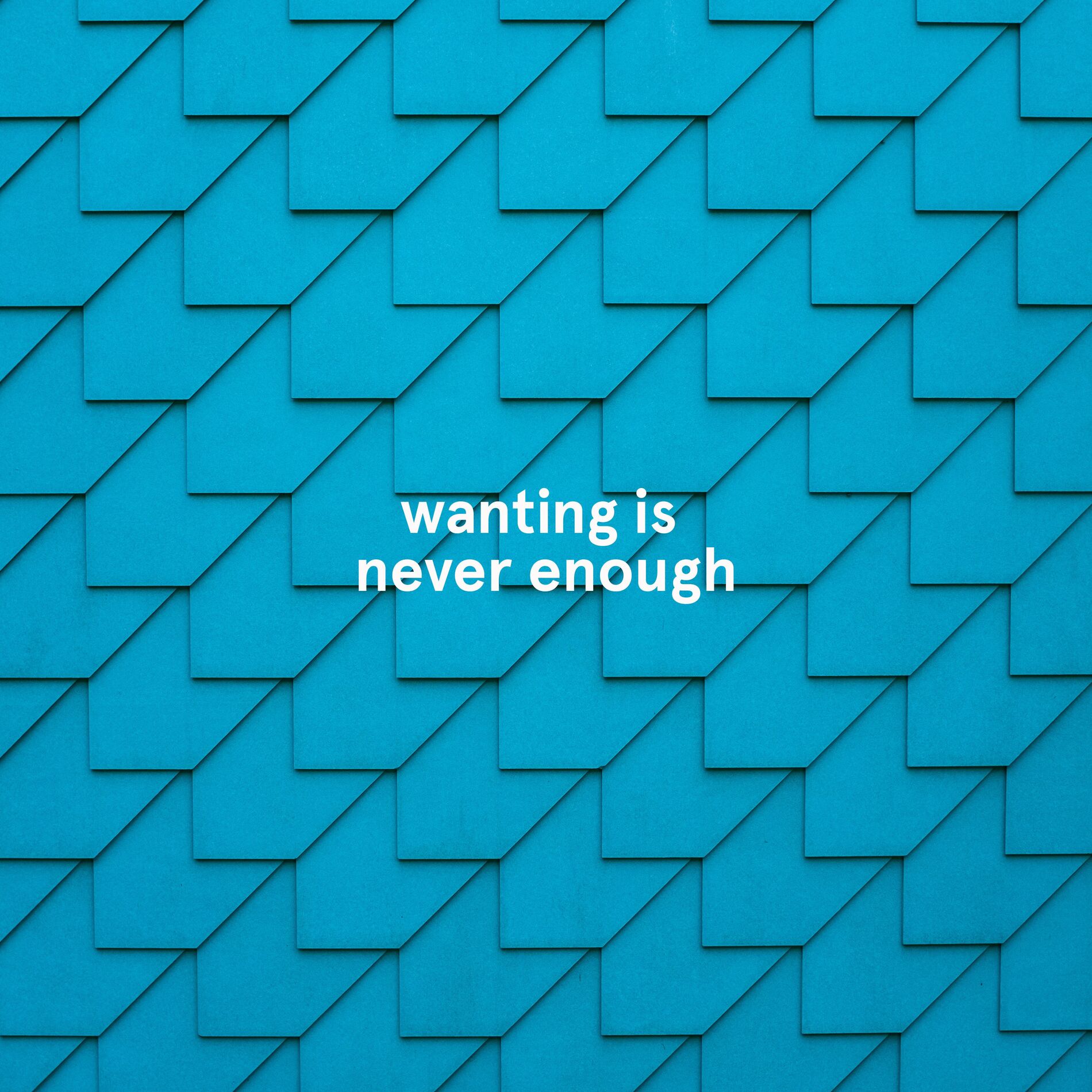 Album cover of wanting is never enough