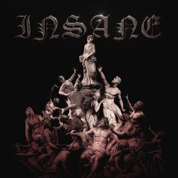 Cover of Insane