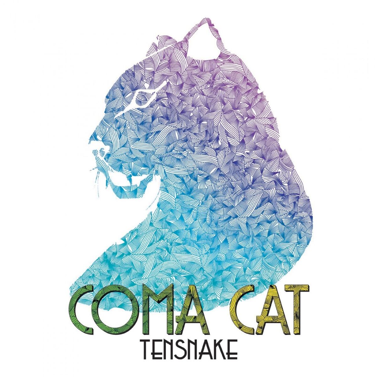 Album cover of Coma Cat