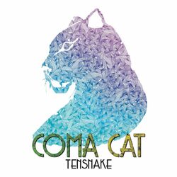 Cover of Coma Cat