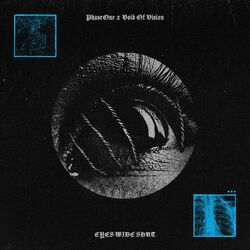 Cover of Eyes Wide Shut