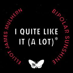 Cover of I Quite Like It (A Lot)