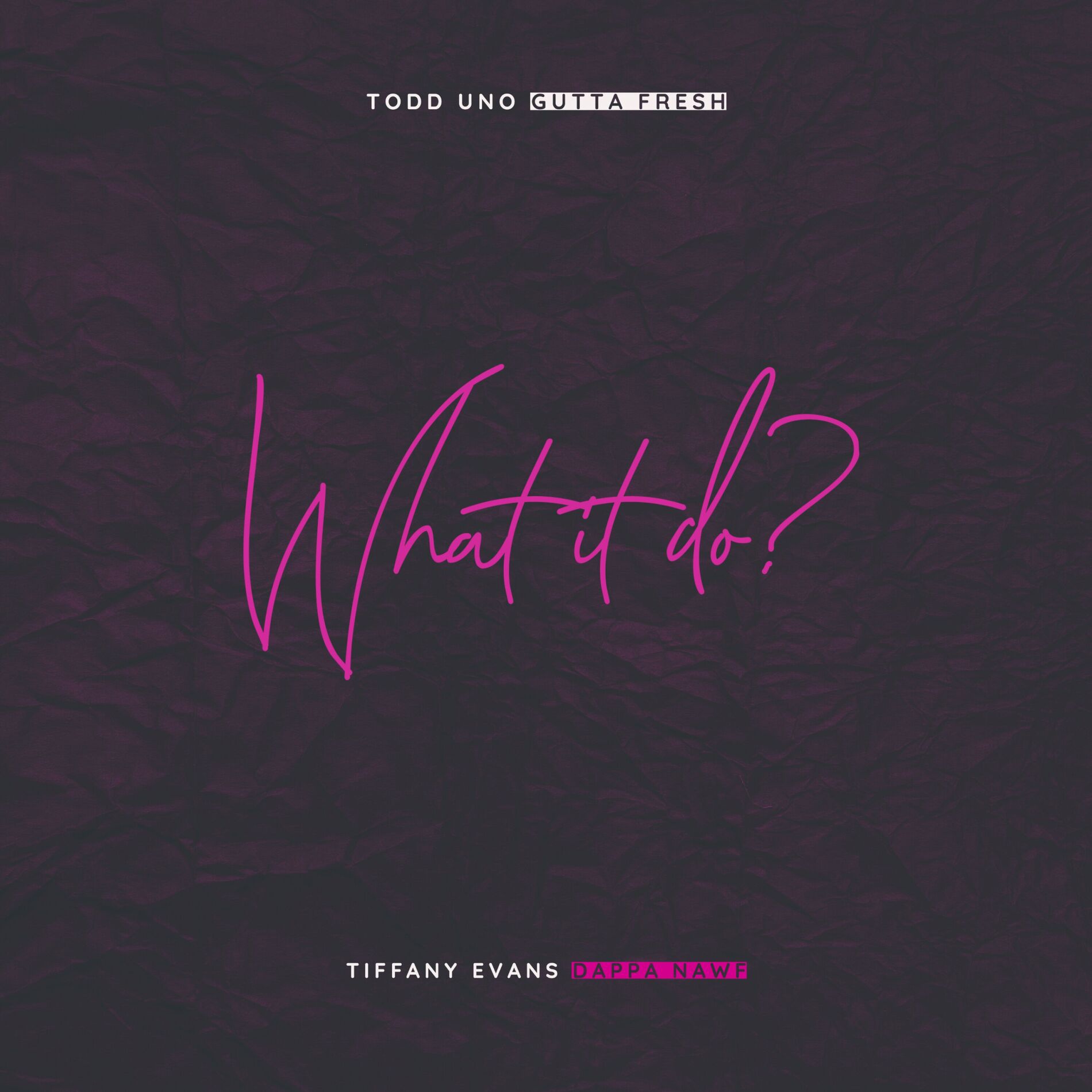 Album cover of What it do?