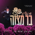 Sruly's Bar Mitzvah (שראלי'ס בר מצוה)