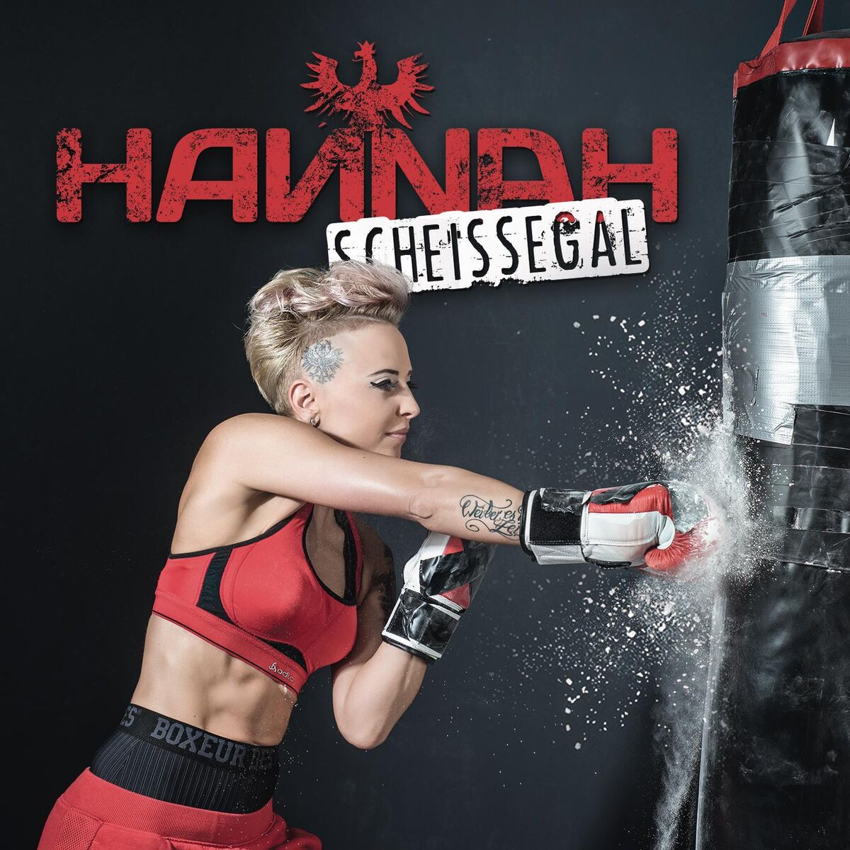 Album cover of Scheissegal