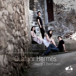 Cover of Haydn & Beethoven