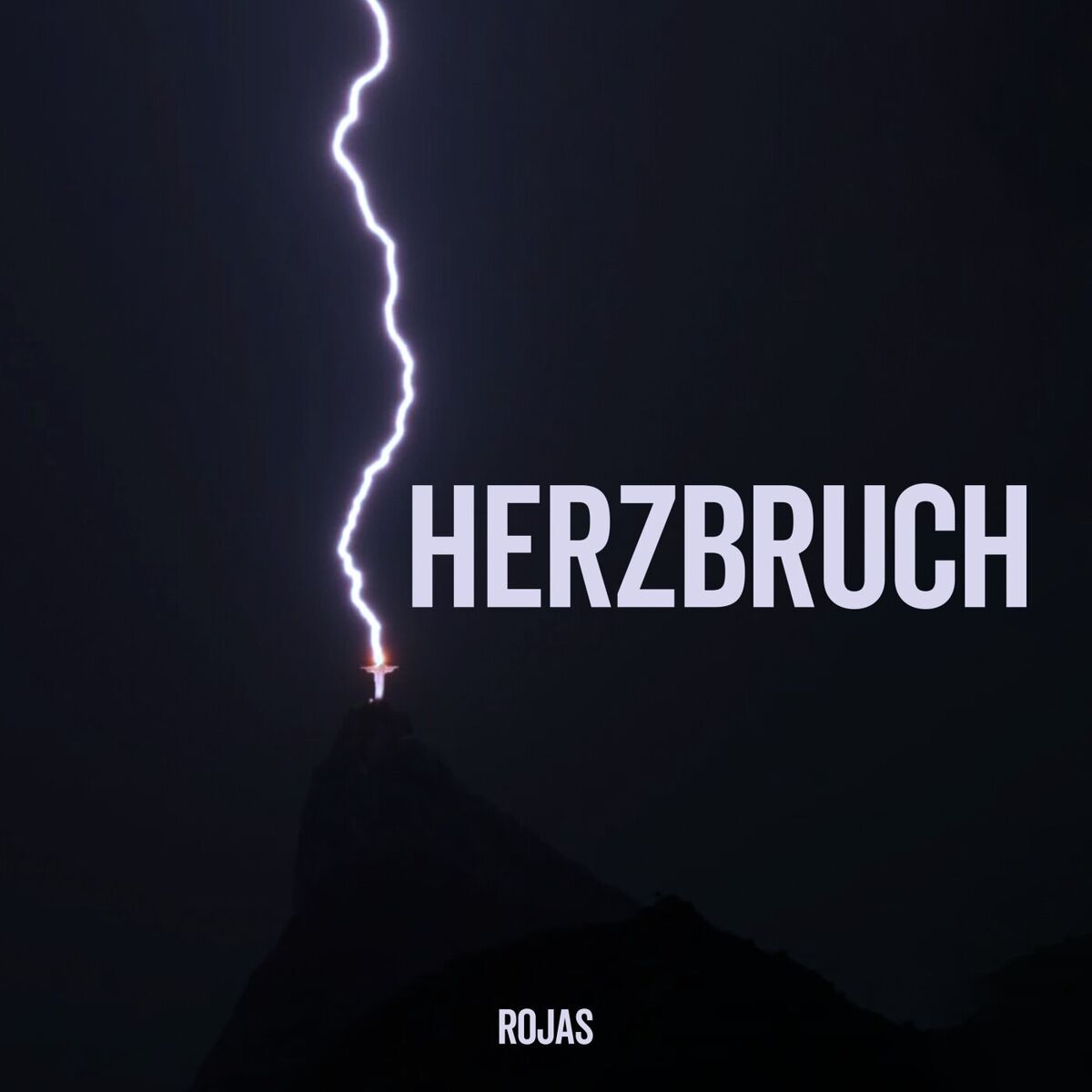 Album cover of Herzbruch