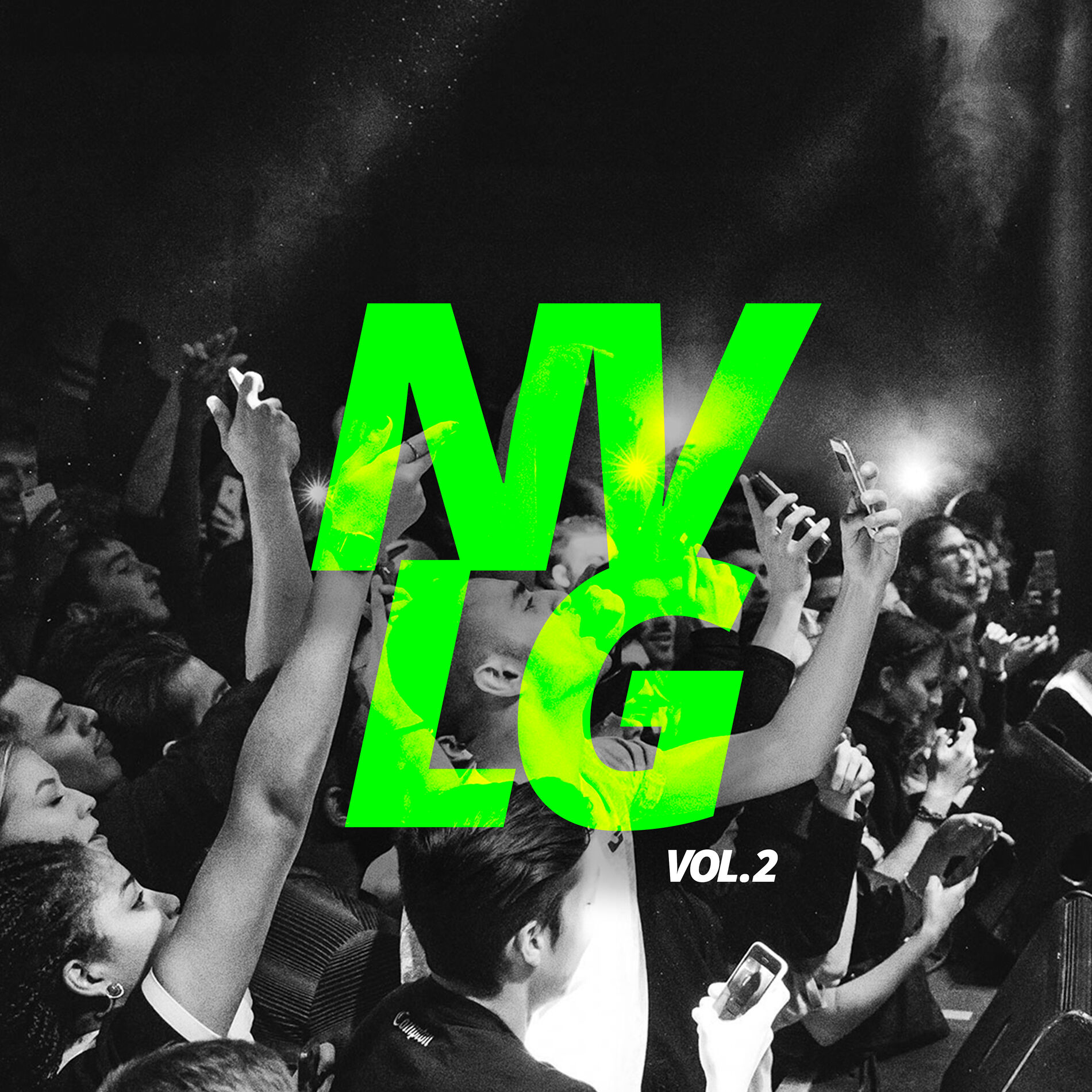 Album cover of NVLG, Vol.2