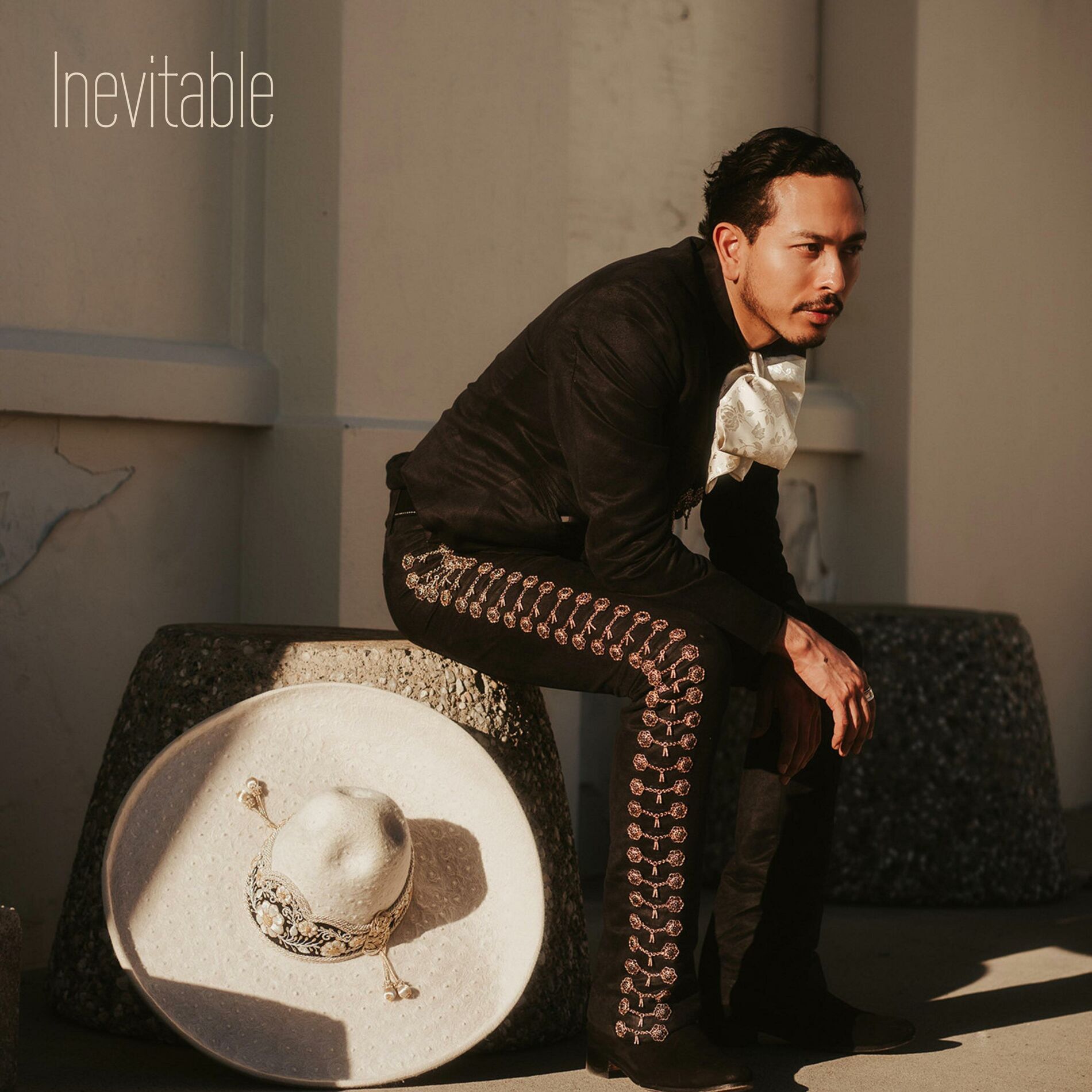 Album cover of Inevitable